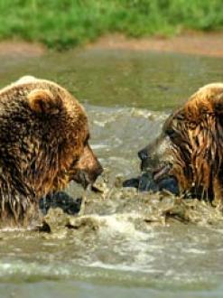 MatrixMapper