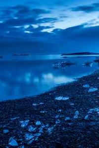 Dr. Fiona McAllister